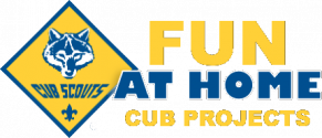 Cub At Home Projects